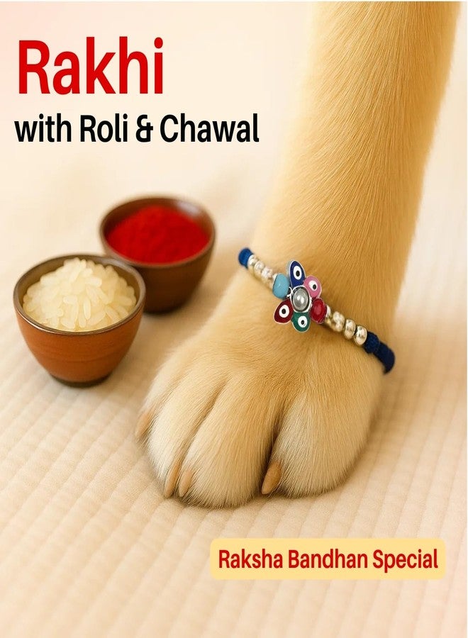 Sage Square Paw Bandhan Evil Eye Rakhi for Dogs, Cats & Small Pets | Celebrate Bonds of Love This Raksha Bandhan | Cute Rakhi with Beads | Gift for Pet Lovers & Furry Companions (Type 3) - Image 3